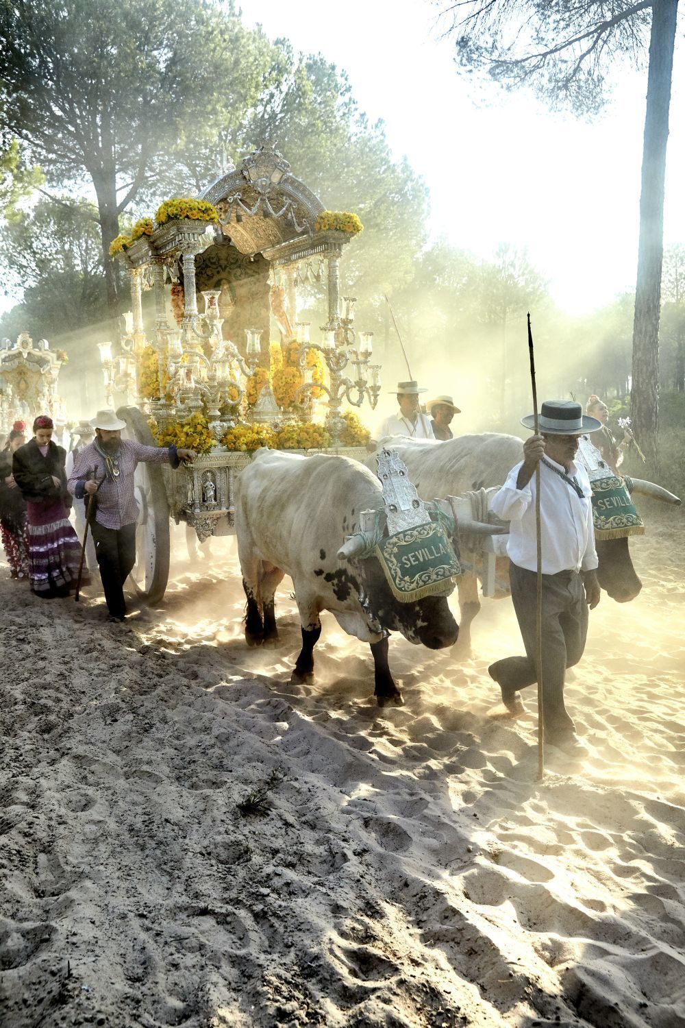 Almonte y la Romería del Rocío, camino ritual que estructura la devoción