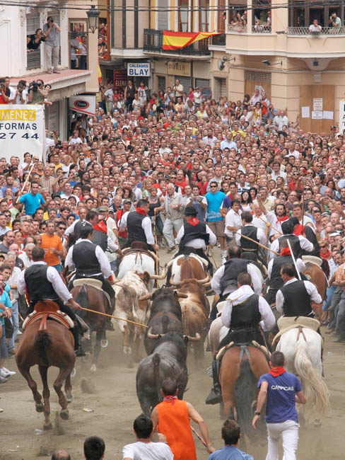 Segorbe, Entrada de Toros y Caballos