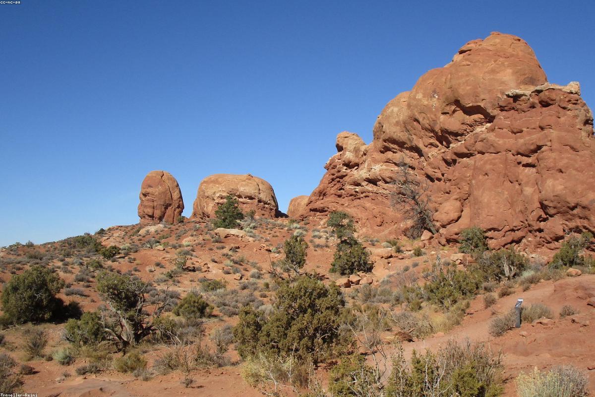 Imagen ilustrativa - París, la ciudad que no se deja poseer