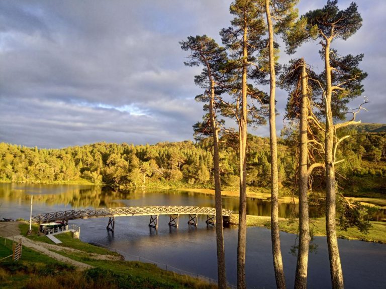 Glen Affric, bosque ancestral en las Tierras Altas de Escocia