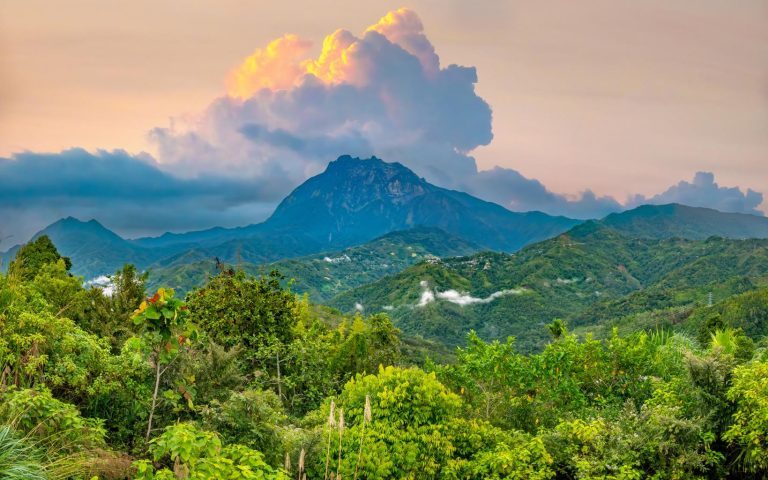 Selva de Kinabalu