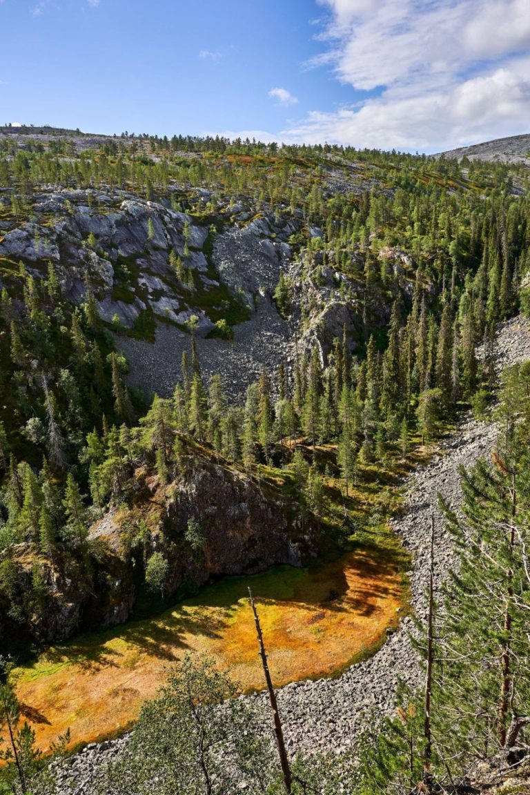 Valle de Pyhä-Luosto, colinas antiguas en la Laponia finlandesa