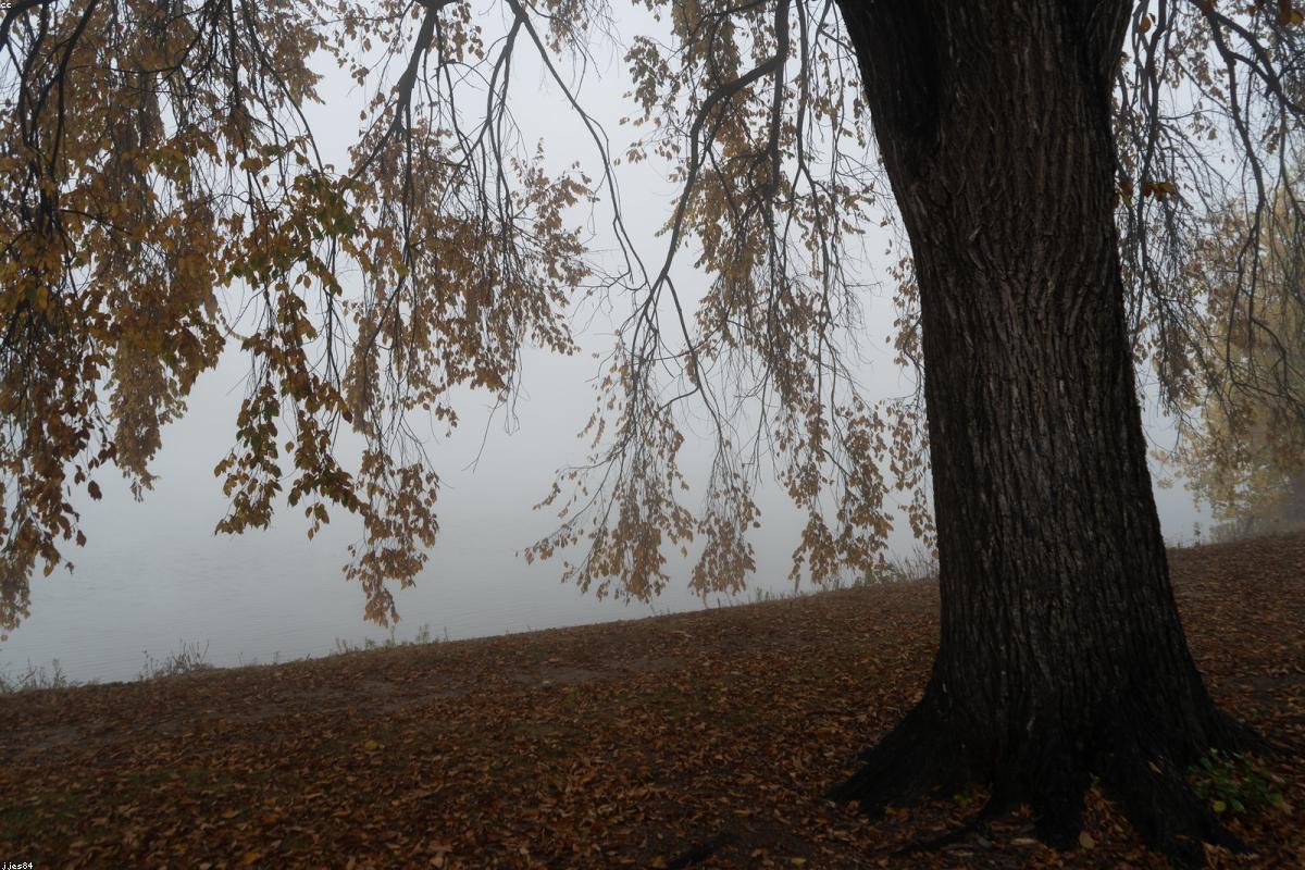 Imagen ilustrativa - Escribir sin saber si habrá mañana