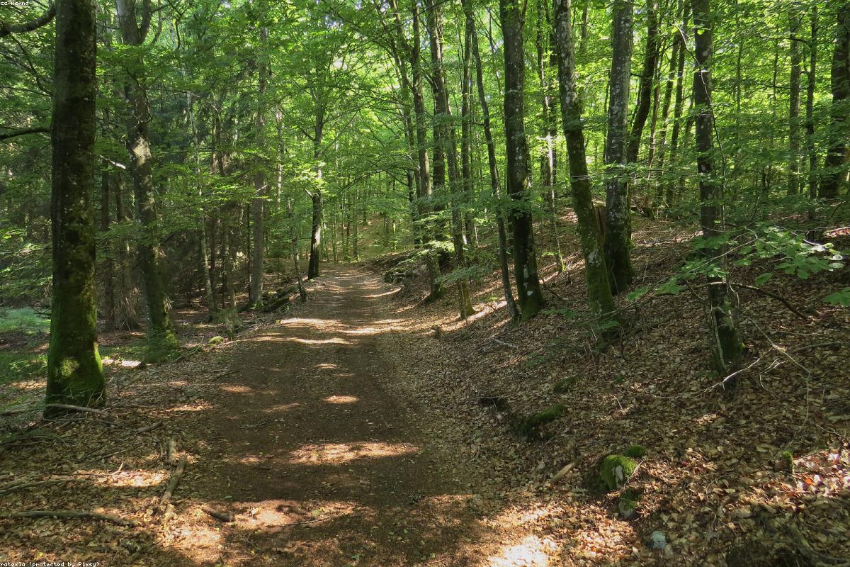 Imagen ilustrativa - Estambul, la ciudad donde todo sucede a la vez