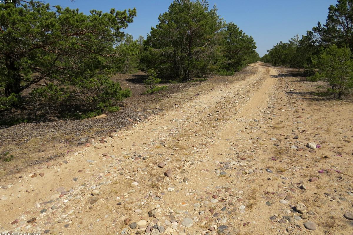 Imagen ilustrativa - Praga, la belleza que no necesita demostrarse